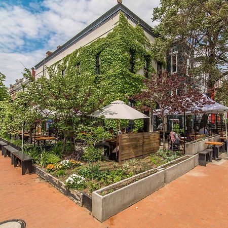 Stylish Renovated Flat, Central, Walk To Dc Sights Washington Exterior foto